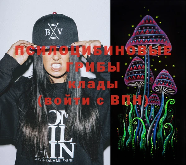 ГАЛЛЮЦИНОГЕННЫЕ ГРИБЫ Новозыбков