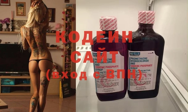 ГАЛЛЮЦИНОГЕННЫЕ ГРИБЫ Новозыбков