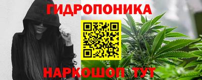 дживик Тверь