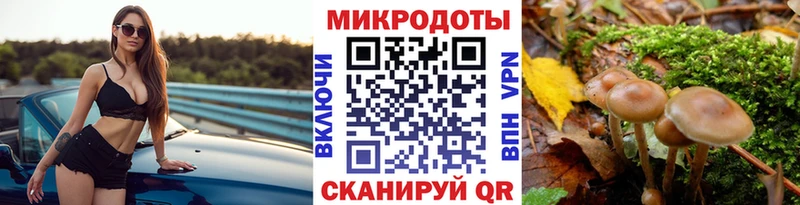 Галлюциногенные грибы мицелий  Туапсе 