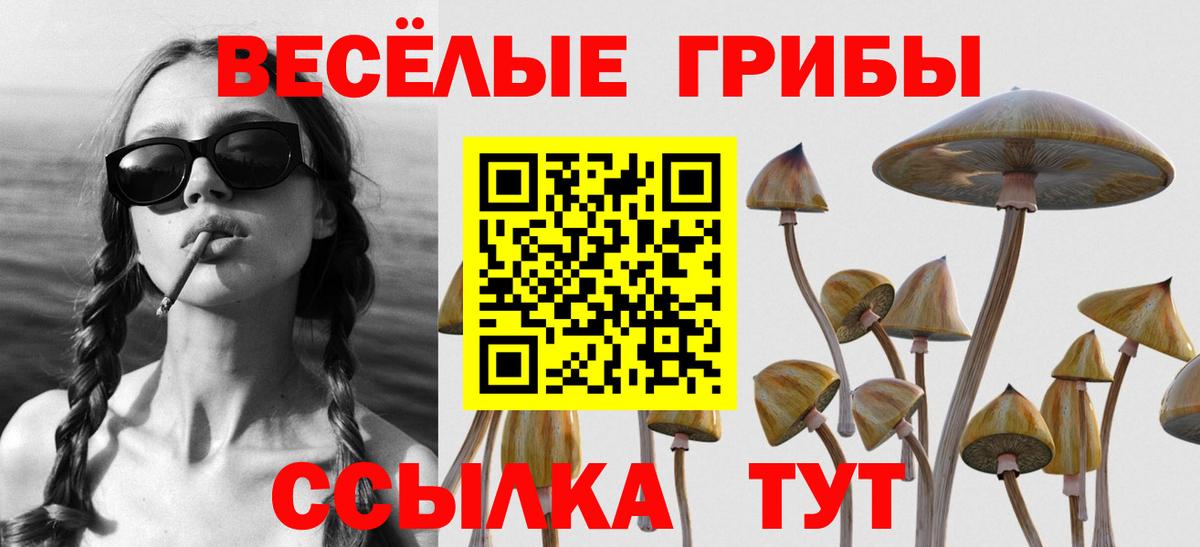 Псилоцибиновые грибы GOLDEN TEACHER Туапсе